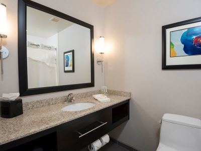 Holiday Airport By Ihg 3* Indianapolis
